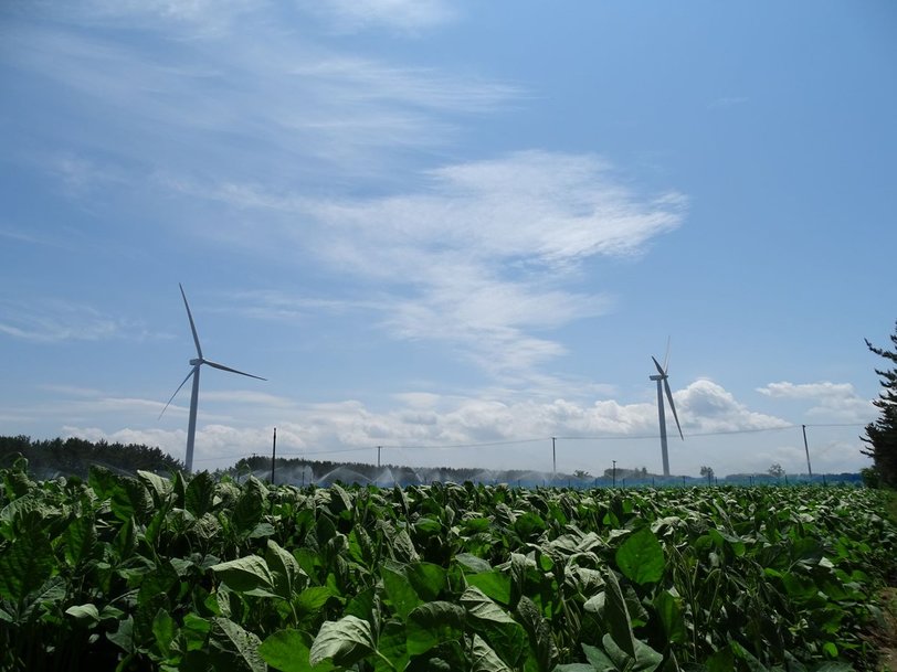 当社の制御システムを採用した、国内最大の風力発電設備が運転開始